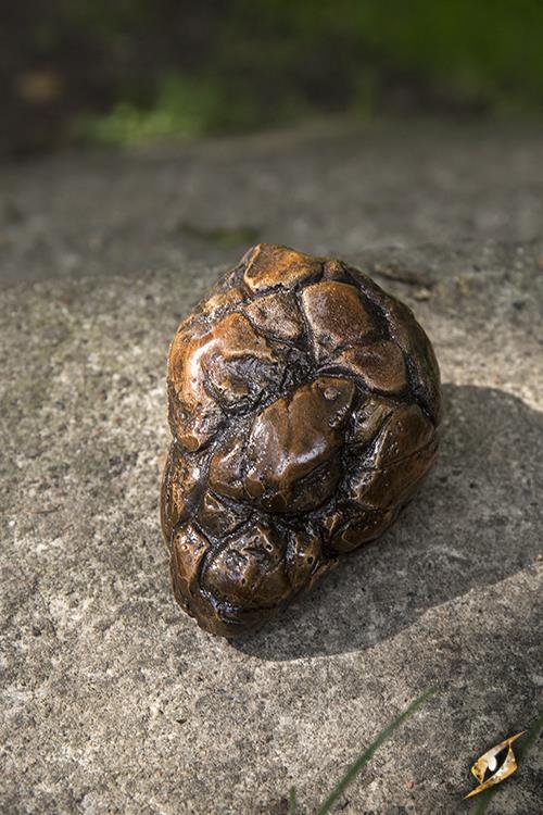 Sandstone Brown
