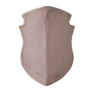 DIY Shield