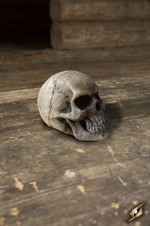 Small Skull 9 cm Bone