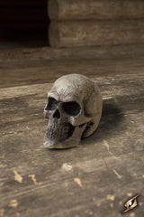 Small Skull 9 cm Bone