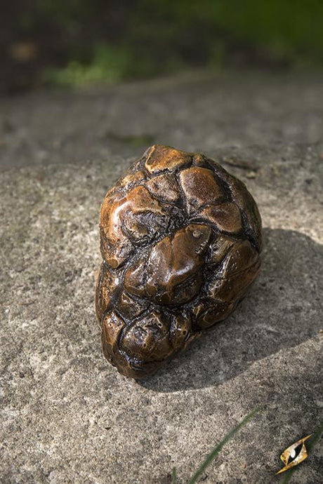 Sandstone Brown