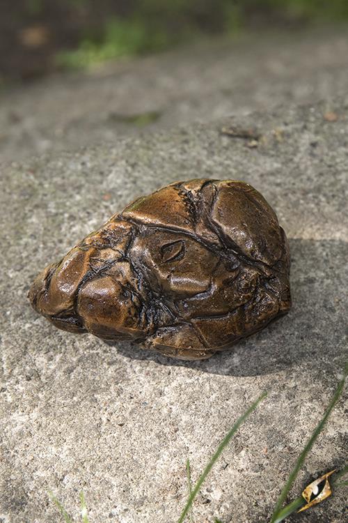 Sandstone Brown